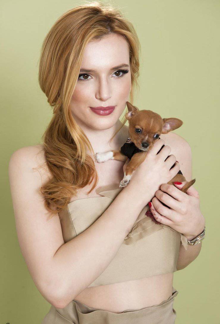 女星貝拉索恩最新海報(bào)曝光 盡顯現(xiàn)代女性時(shí)尚魅力