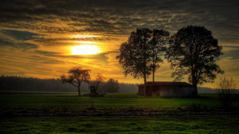 綠色大自然風景桌面壁紙