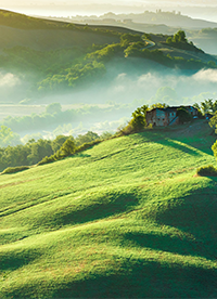 綠色大草原高清圖片欣賞”