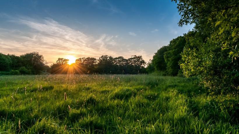 綠色大自然風(fēng)景桌面壁紙
