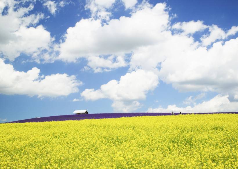 人與綠色大自然圖片