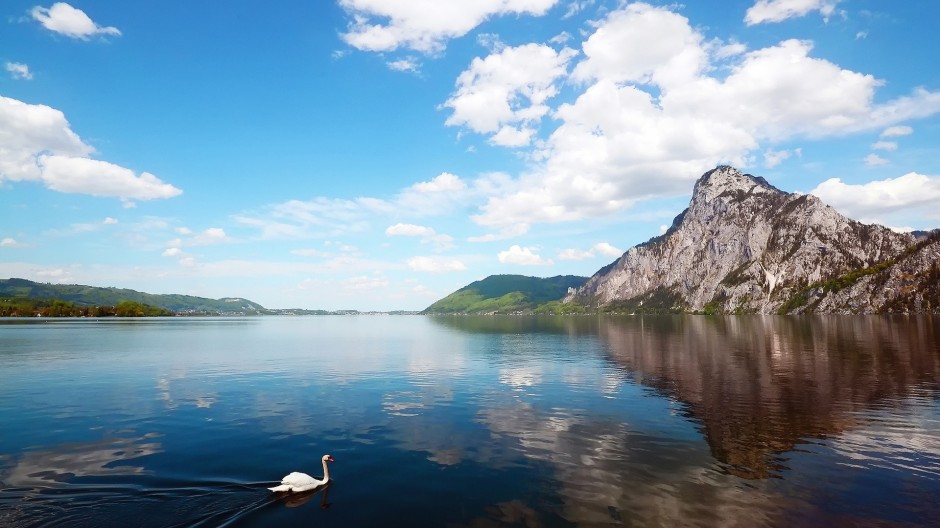 清新大自然背景圖片大全欣賞