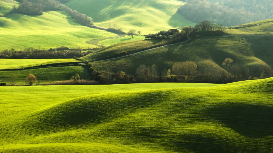 綠色大草原高清圖片欣賞