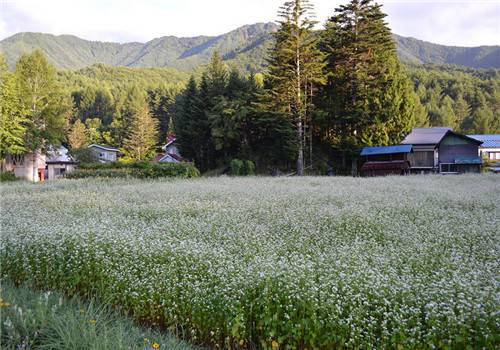 小清新鄉(xiāng)村自然風光美景圖片