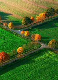 綠色唯美大草原圖片大全”