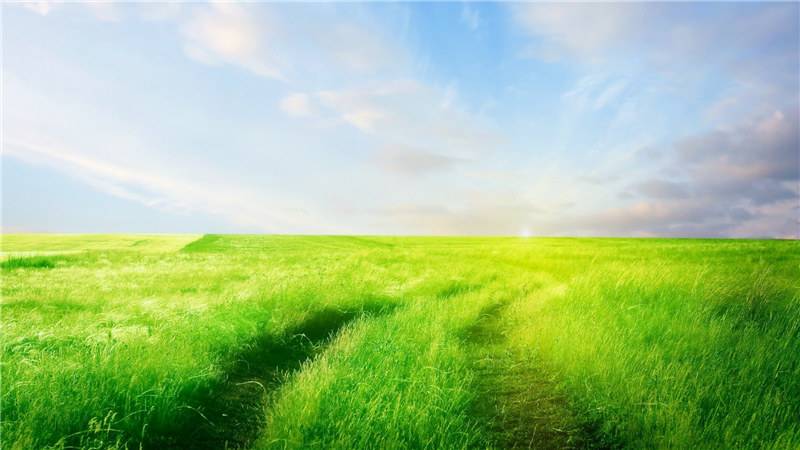 美麗的綠色草原風(fēng)景圖片欣賞