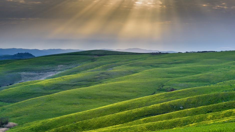 綠色大草原高清圖片欣賞