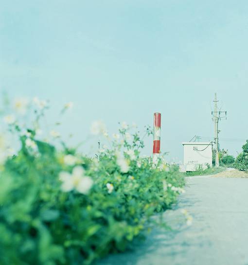 唯美清新小鎮(zhèn)街道風景圖片欣賞