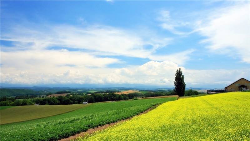 美麗的綠色草原風(fēng)景圖片欣賞