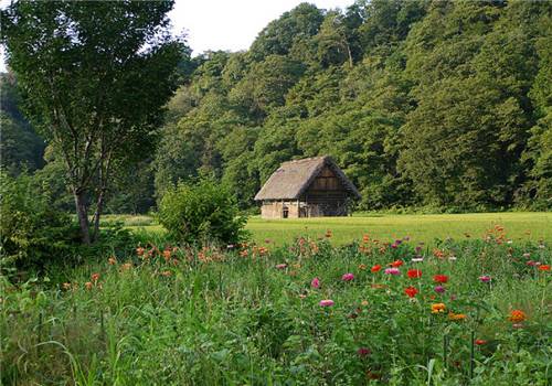 小清新鄉(xiāng)村自然風(fēng)光美景圖片
