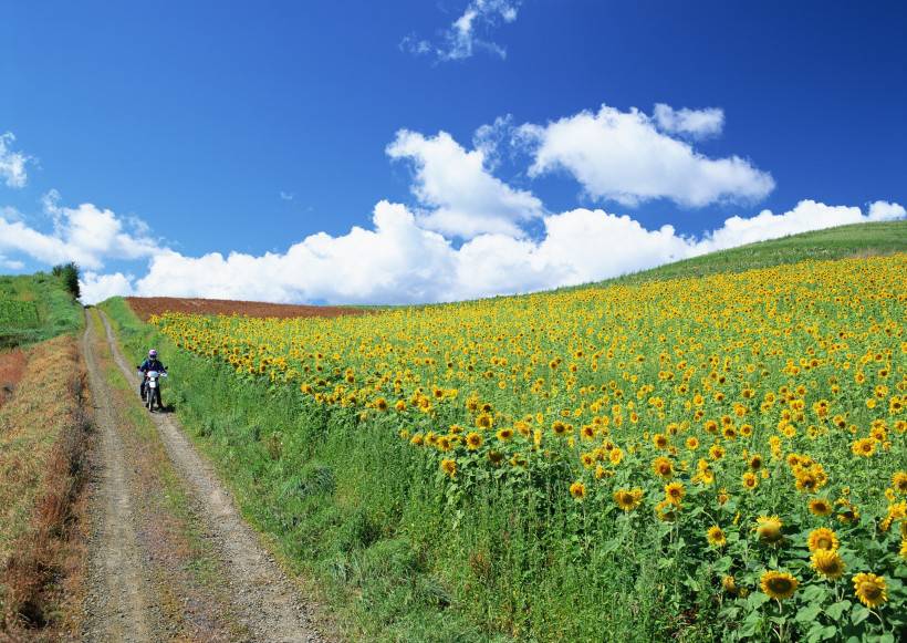 人與綠色大自然圖片