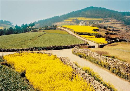 小清新鄉(xiāng)村自然風(fēng)光美景圖片