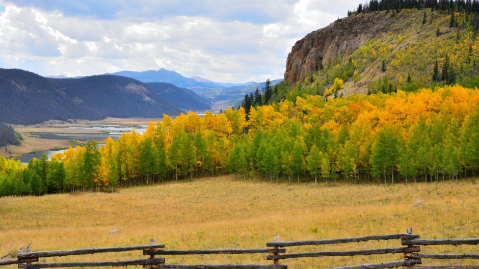綠色唯美大草原圖片大全