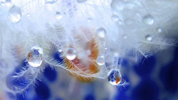 旅游勝地大自然美麗風(fēng)景圖片