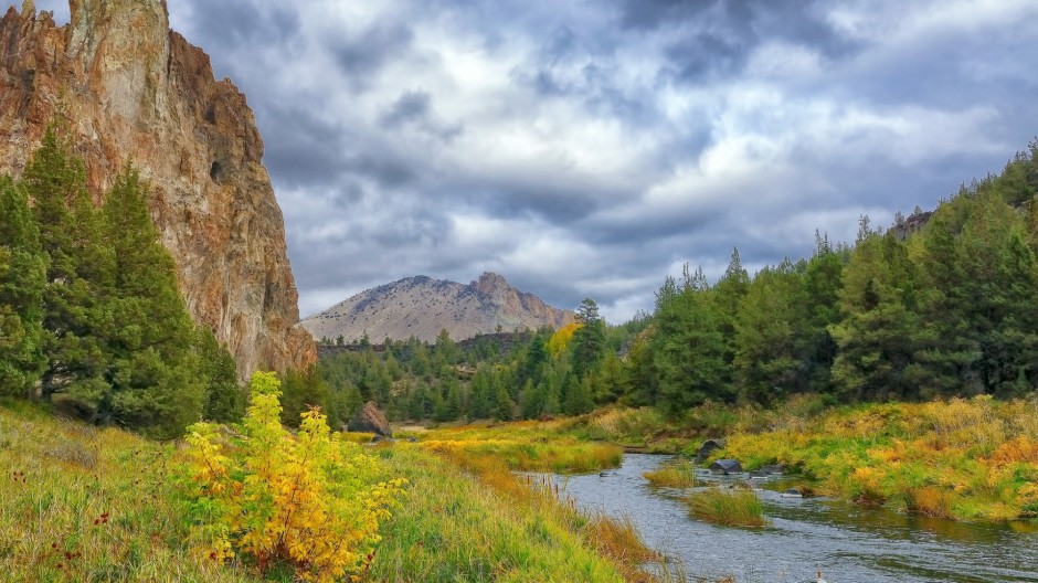 綠色唯美大草原圖片大全