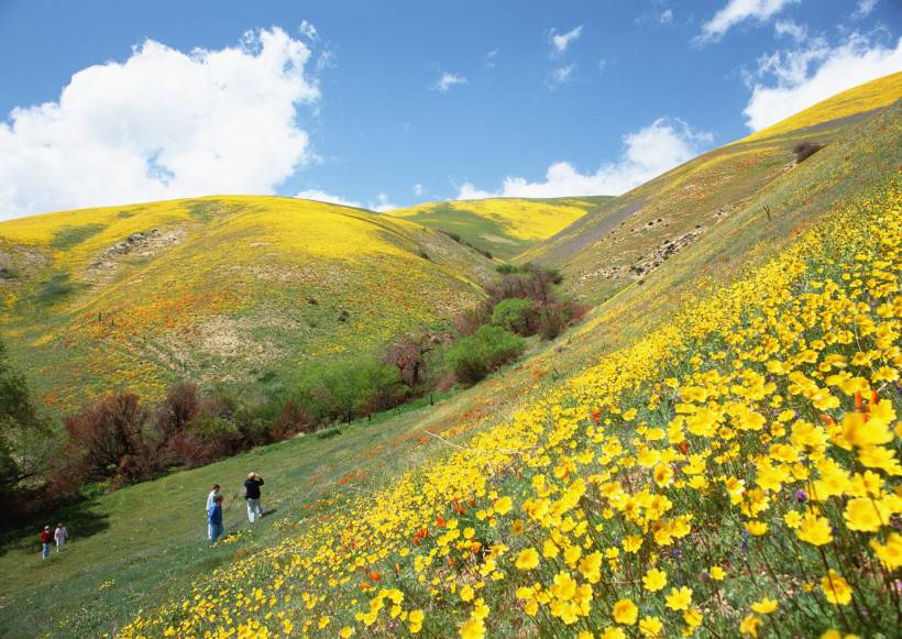 人與綠色大自然圖片