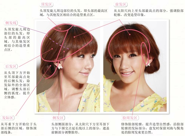 頭發(fā)分區(qū)是做好發(fā)型的前提