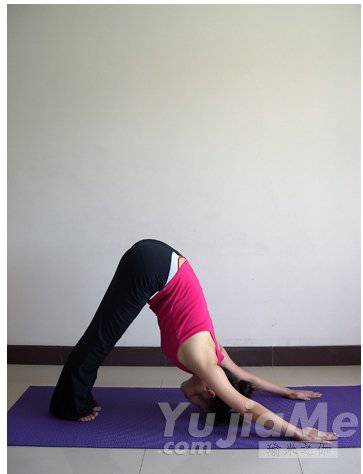 瑜伽拜日十二式詳解 瑜伽初學者必看