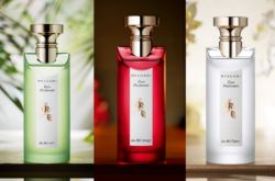 BVLGARI Eau Parfumée寶格麗奢華茶香古龍水系列
