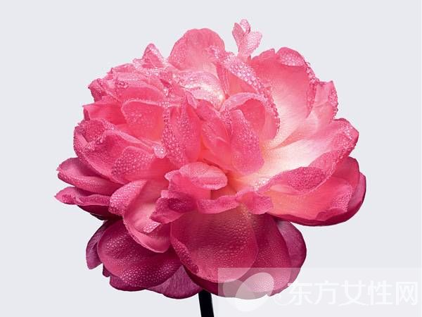 全新迪奧miss香水 呈現(xiàn)馥郁而甜美全新香味