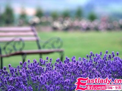 4款精油和失眠說BYEBYE