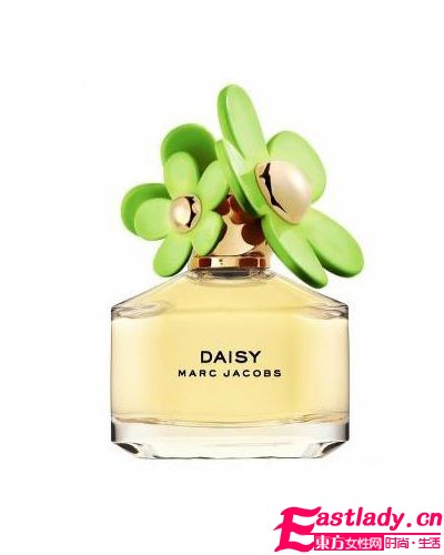 淡淡花香 Marc小雛菊又出新版本