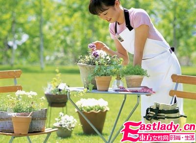 居家精油 在香氣中沉醉