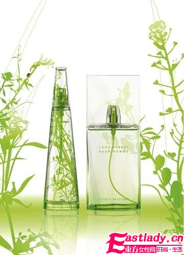 香氛七個基本調(diào)調(diào)大揭秘