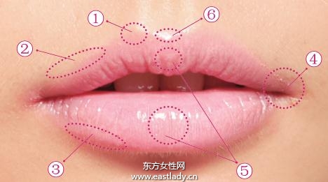 平衡唇形的六個基本要素
