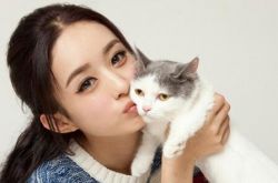 千萬別跟風 一字眉雖好卻非所有人都適合