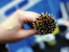 粉底刷快速上粉底步驟圖解