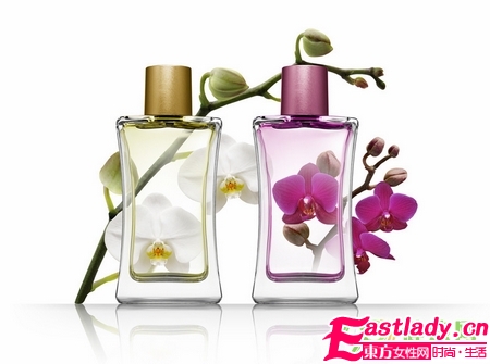 聞香識女人 不同血型的女人適合的香水