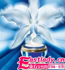 從A到Z 37個品牌明星產(chǎn)品全掃蕩