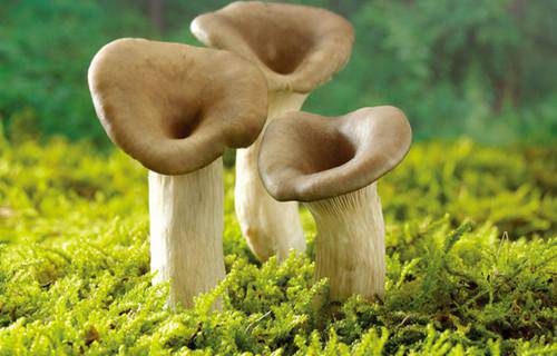 如何去疤痕 讓皮膚重獲新生