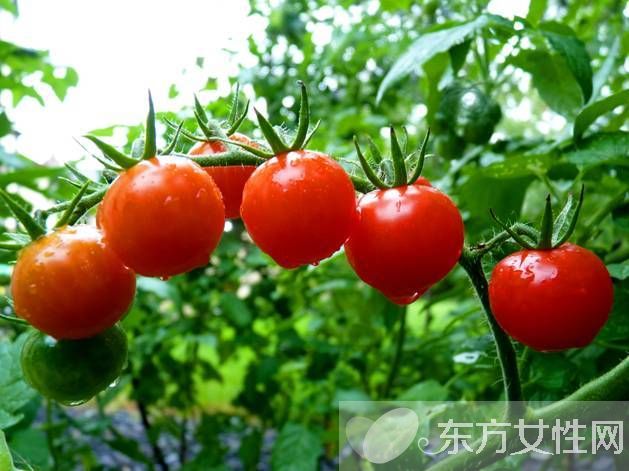 女性如何去皺紋 經(jīng)常吃這些能消除皺紋