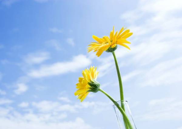 揭增生性疤痕形成原因 五個(gè)方法綜合治療