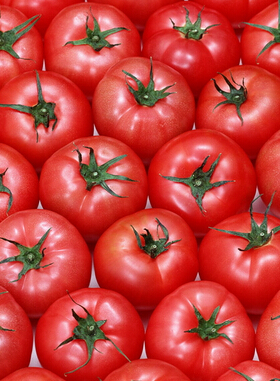 干性皮膚怎么保養(yǎng) 夏季干性皮膚怎樣美白