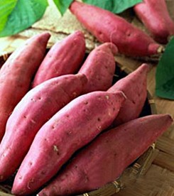 吃什么可以美白 這些食物能夠讓你一生美白