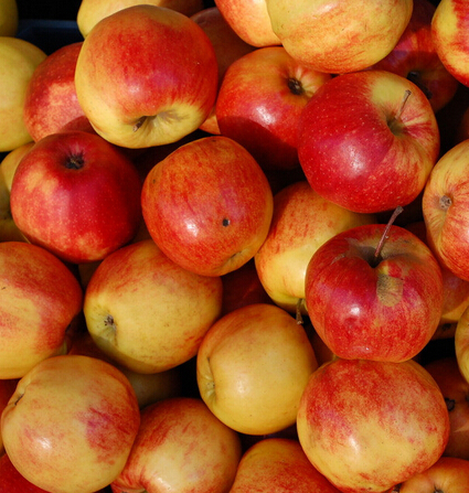 秋季護膚小常識  六種水果必不可少