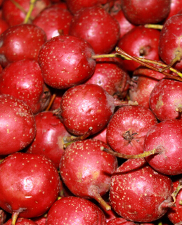 美容養(yǎng)顏 深秋去燥養(yǎng)顏多食九種水果效果佳