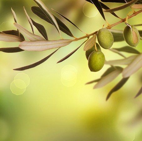 抗皺水果推薦 8種食物是女性 抗皺專家