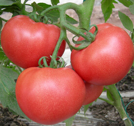 夏季護膚 9個護膚好習(xí)慣美美的迎接夏天