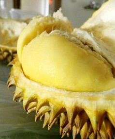 美容護(hù)膚 難吃 食物大盤(pán)點(diǎn)養(yǎng)生功效驚人