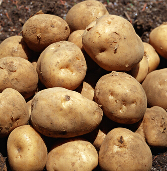 吃什么美白 常吃七種蔬菜幫助皮膚自然美白