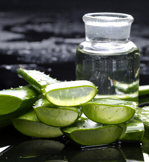 蘆薈膠的作用 蘆薈膠祛痘美白更防曬