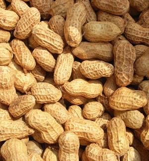 吃什么可以祛斑養(yǎng)顏 吃對(duì)食物祛斑養(yǎng)顏