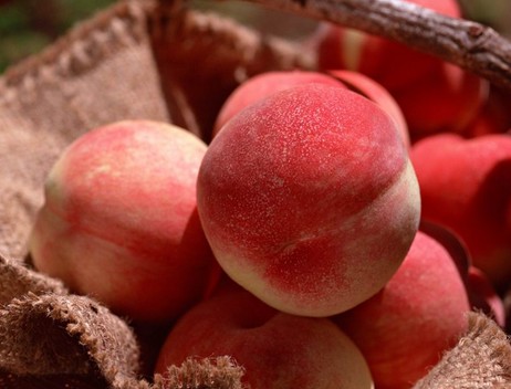 水果的功效與作用 10種食物媲美頂級護(hù)膚品