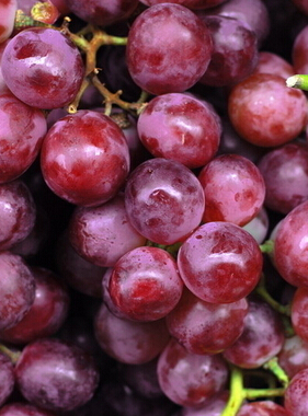 吃什么對皮膚好 夏季美容護(hù)膚食物