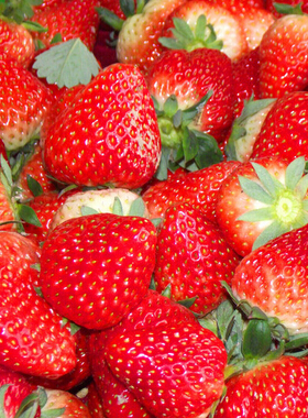 吃什么水果對(duì)皮膚好 春季8種美白護(hù)膚水果