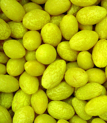 抗皺緊膚 助女人排毒抗皺的8種水果